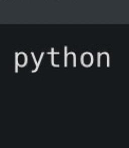 print ("python") - avatar