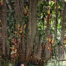🧡Silas🍂 - avatar