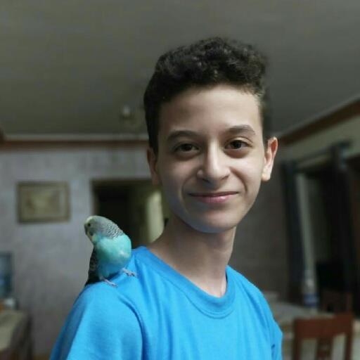 Ali Sameh Eldeba - avatar