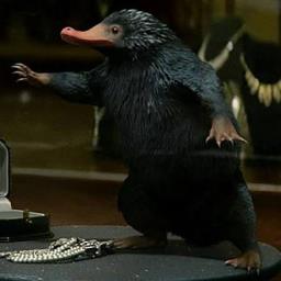 Coding Niffler - avatar