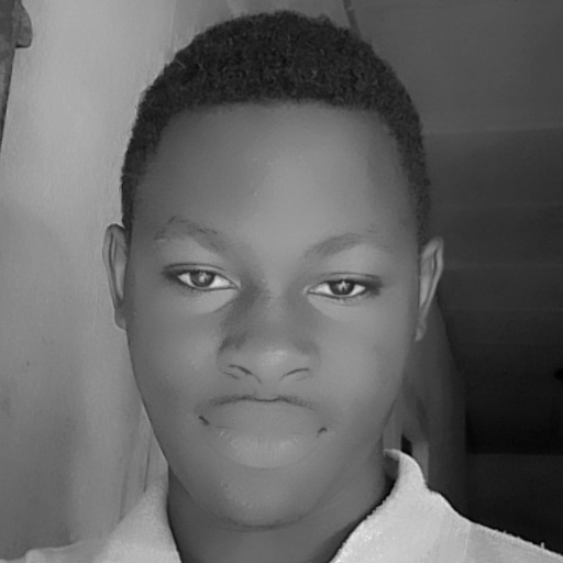 Ugwu Soromtochukwu Rex - avatar