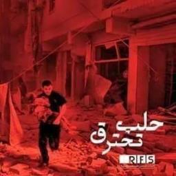 Sayed Nabil - avatar
