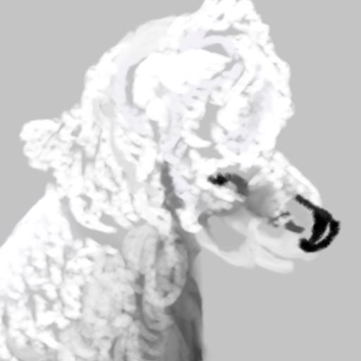 Experiment Poodle - avatar