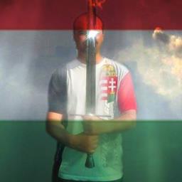 Istvan Fazakas - avatar