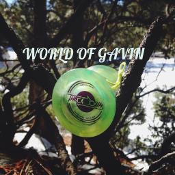 World Of Gavin - avatar