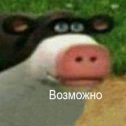 Vafin Timur Ilnurovich - avatar