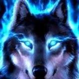 Wolf Web - avatar