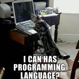 Programmingcat - avatar