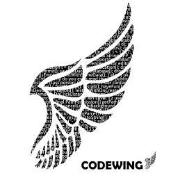 codewing - avatar