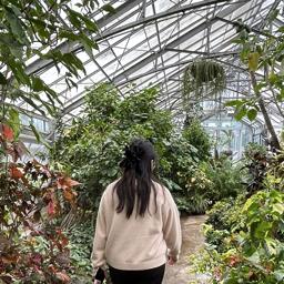 Jacob Mohamed - avatar