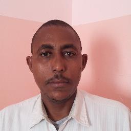 mukhtar ibrahim  - avatar