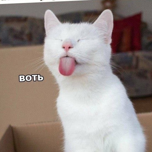 Oleg - avatar