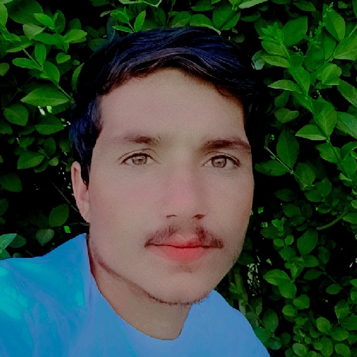 BashirAhmad Munib - avatar