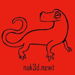 nak3d.newt - avatar