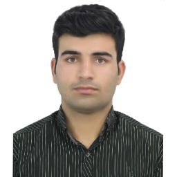 Hossein Gholami - avatar