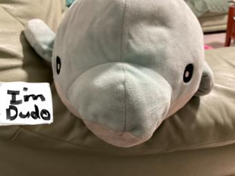 Dudo Da Dolphin🐬 - avatar