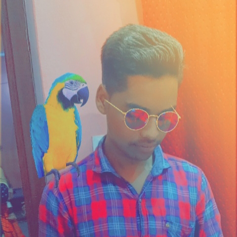Udit Singh - avatar