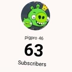 Pigpro 46 (2) - avatar