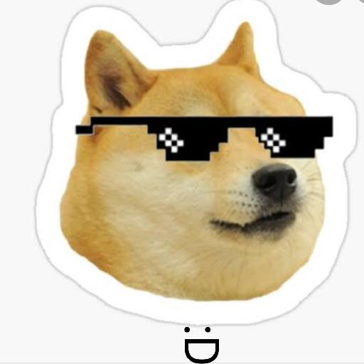 Smart Doge - avatar