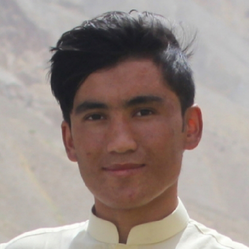 Hussain Zafari - avatar