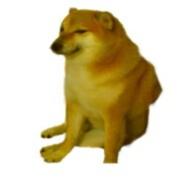 Wwamich Carry - avatar