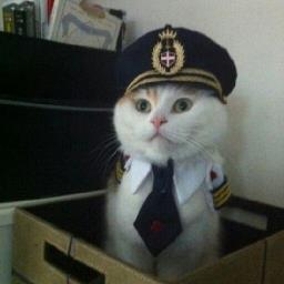 Captain Cat - avatar