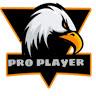 Pro Player - avatar