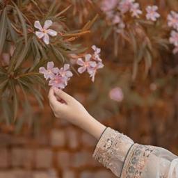 Roshni - avatar