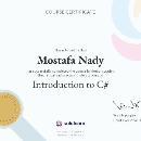 mostafa nady - avatar