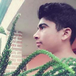 Omar Vinicio Ramirez Asencio - avatar