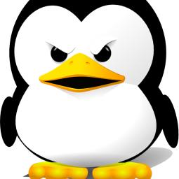developer nix - avatar