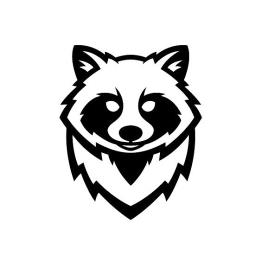 Raccoon Boy - avatar