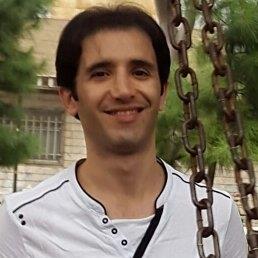 Mojtaba Azarani - avatar