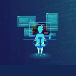 software.enginer - avatar