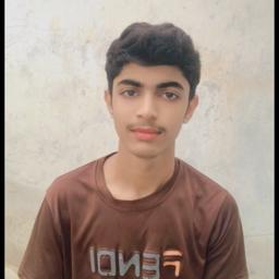 Hasnain - avatar