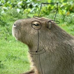 Sir Capybara - avatar