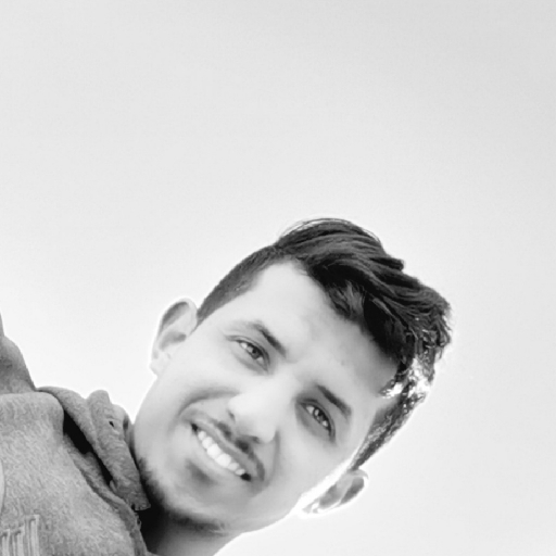 Anas Saraheen - avatar
