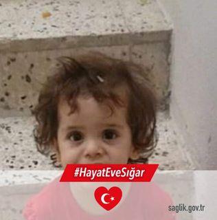 Oktay Macutay - avatar