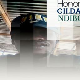 Honore Gildas Ndibo - avatar