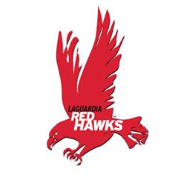 Red Hawks - avatar