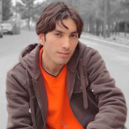 Sajjad Niknahad - avatar
