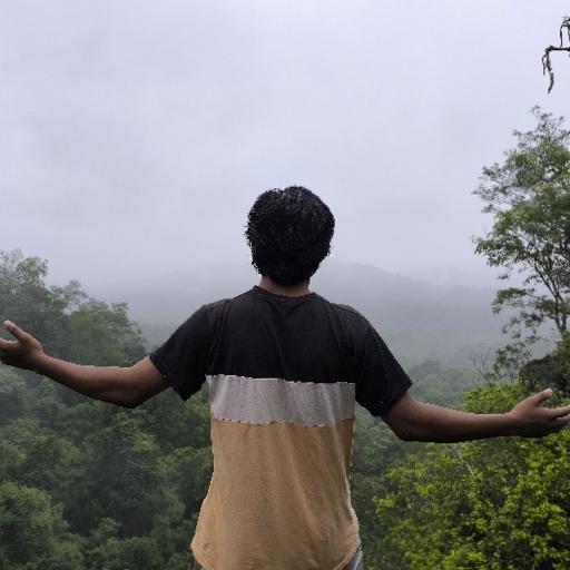 Prince Mandal - avatar