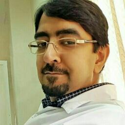 Hamid Ariannejad - avatar
