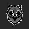 Mr. Raccoon - avatar