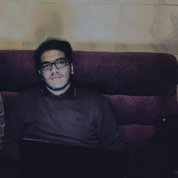 Amir Hossein Taran - avatar