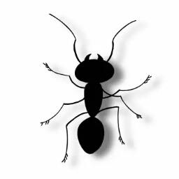 Termite - avatar