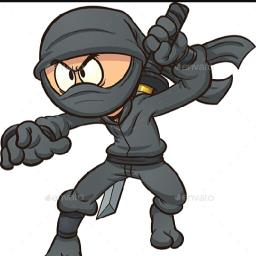 Ninja - avatar
