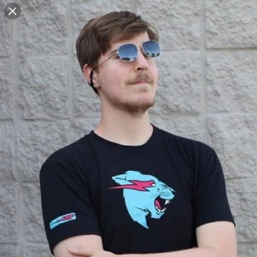 Mr. Beast - avatar