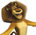 The Lion Alex 1 - avatar