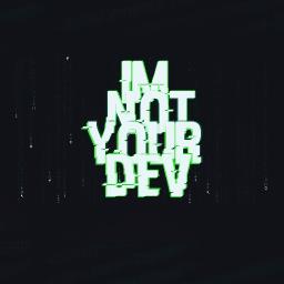 ImNotYourDev - avatar